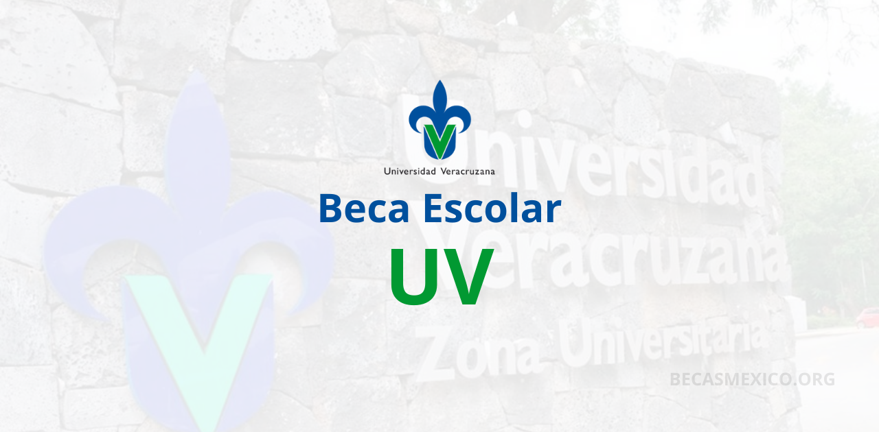 Beca Escolar UV