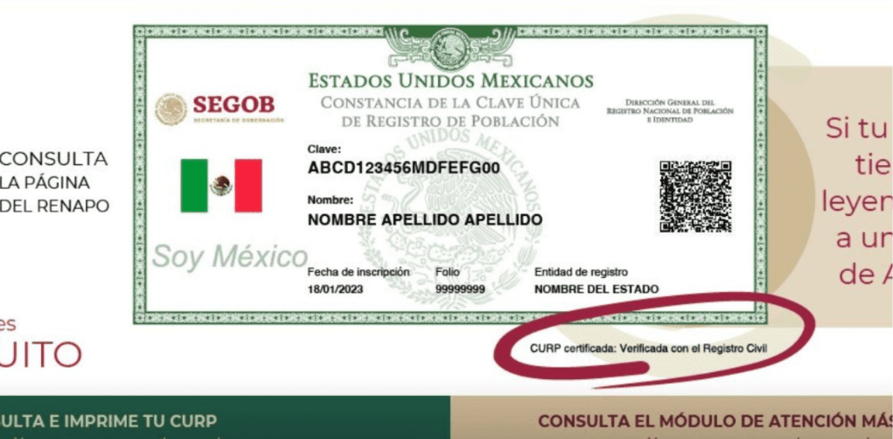 ¿Cómo saber si mi CURP está certificada? Guía paso a paso